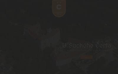 www.usuchehocerta.cz
