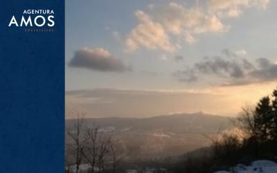 www.agenturaamos.cz