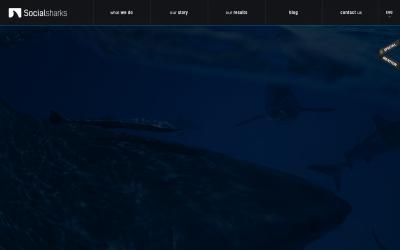 www.socialsharks.cz