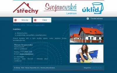 www.uklid-strechy.cz