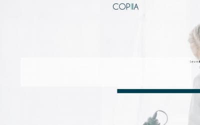 www.copialiberec.cz