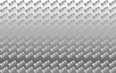 www.brifitsport.cz