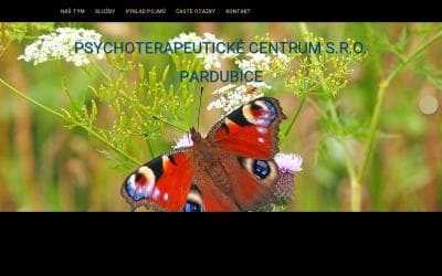 www.psychologove.cz