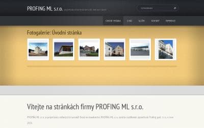 www.profingml.cz
