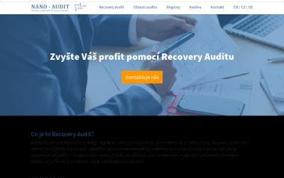 www.nano-audit.com