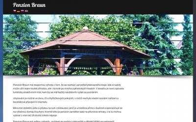 www.pension-braun.cz
