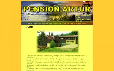 www.pensionartur.com
