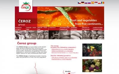 www.ceroz.com