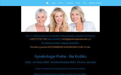 www.gynekologie-praha.eu