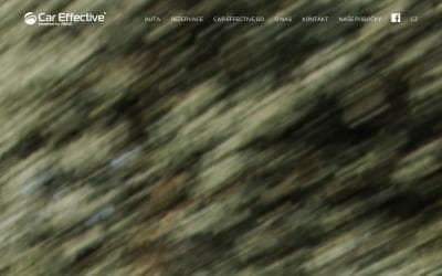 www.careffective.com