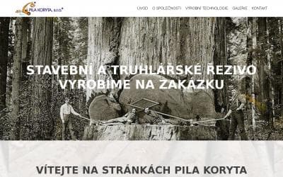 www.pila-koryta.cz