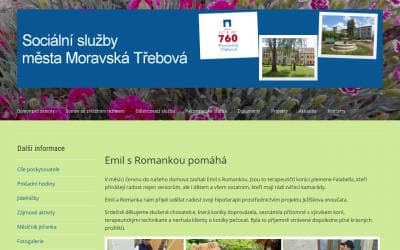 www.ddmt.cz