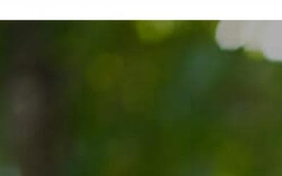 www.medela-ops.cz