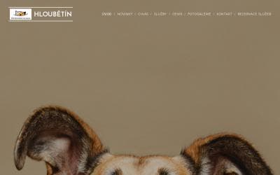 www.veterinahloubetin.cz