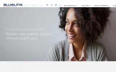 www.bluelinkservices.com