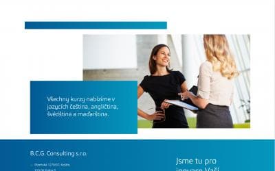 www.bcgconsulting.cz