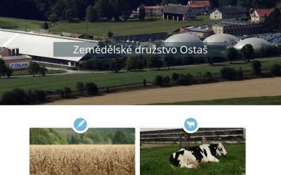 www.zdostas.cz