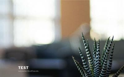 www.eastmanagement.cz