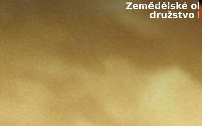 www.zod-bozejov.cz