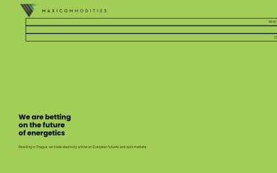 www.maxicommodities.com