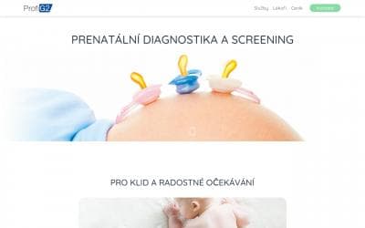www.pg2.cz