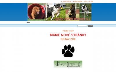 www.agility-mb.webnode.cz