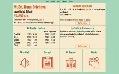 www.brichova.cz