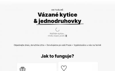 www.loukykvet.cz