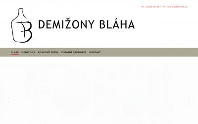 www.demizon.cz