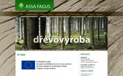 www.assa-fagus.cz
