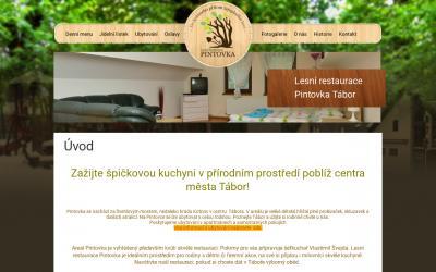 www.pintovka.cz