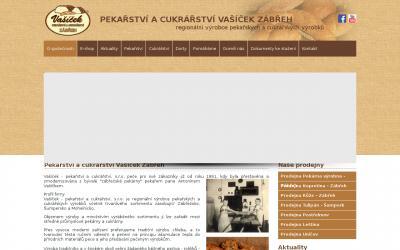 www.vasicekzabreh.cz
