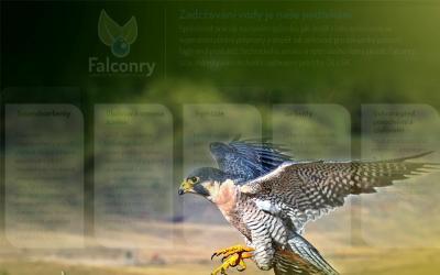 www.falconry-cz.com