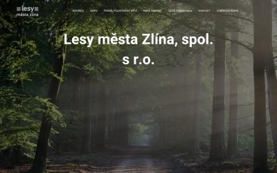 www.lesyzlin.eu