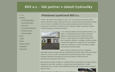 www.bkx.cz